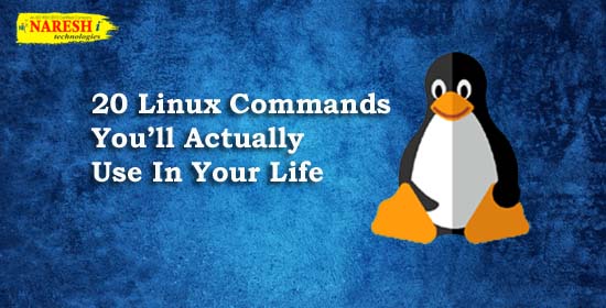 20 Linux Commands You will Actually Use In Your Life – NareshIT